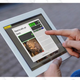 Unlimited Lifetime Learning Subscription Bundle ft. Rosetta Stone | $127 | StackSocial | ROSETTA